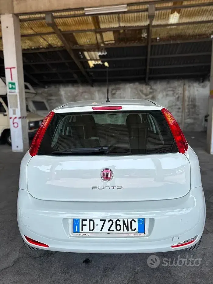 Usata Fiat Punto Lounge 70 CV (51 kW) 2016 Bianco Utilitaria