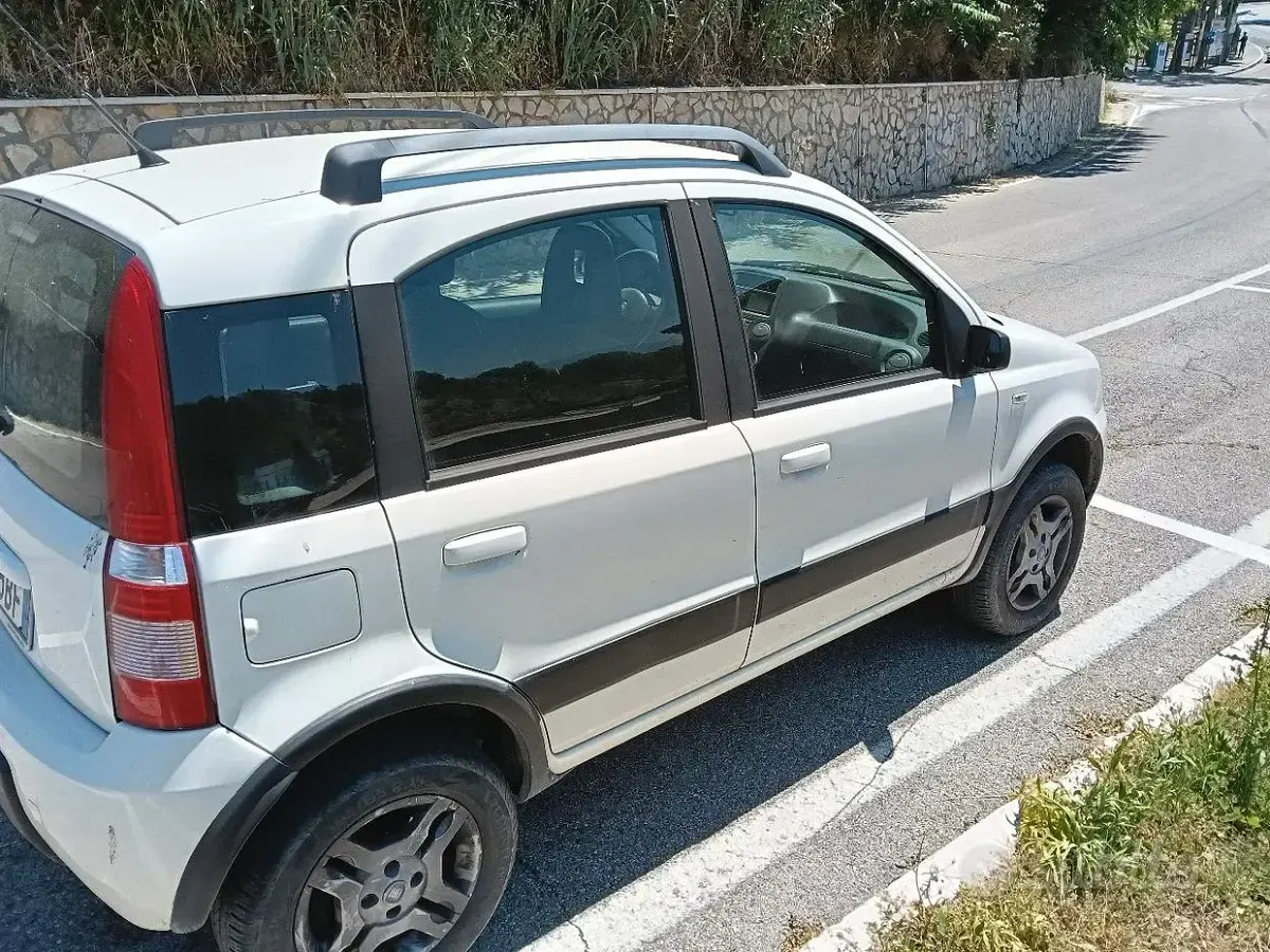Usata Fiat Panda 60 CV (44 kW) 2008 Bianco Utilitaria