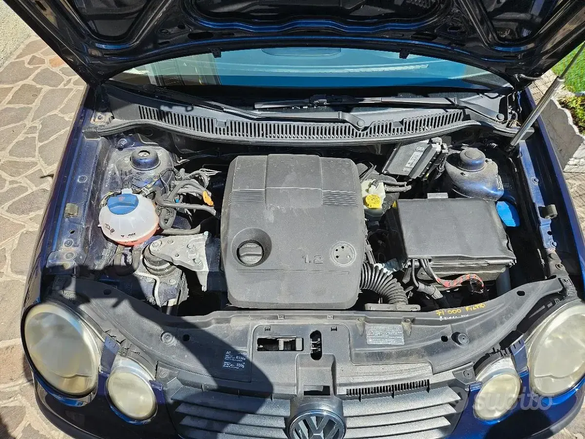 Usata VW Polo Comfortline 64 CV (47 kW) 2003 Blu Utilitaria