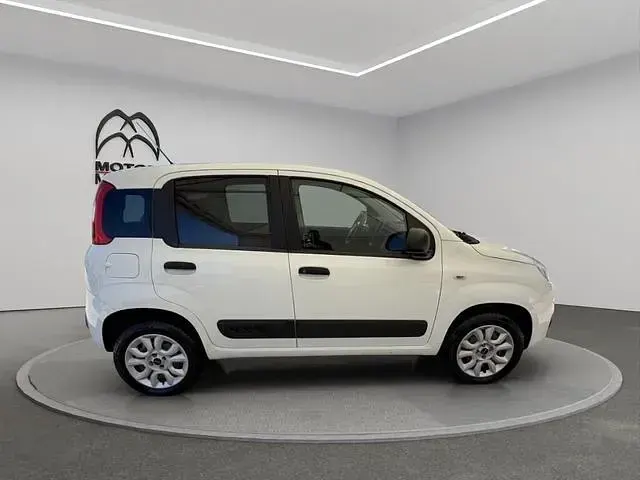 Usata Fiat Panda 4x4 Pop 85 CV (62 kW) 2019 Bianco Utilitaria
