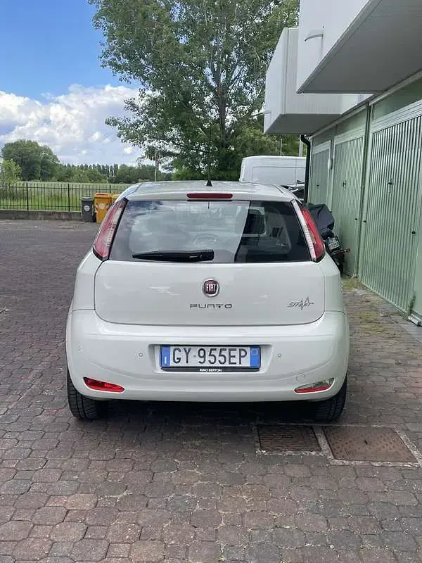 Usata Fiat Punto Evo Dynamic 75 CV (55 kW) 2013 Utilitaria