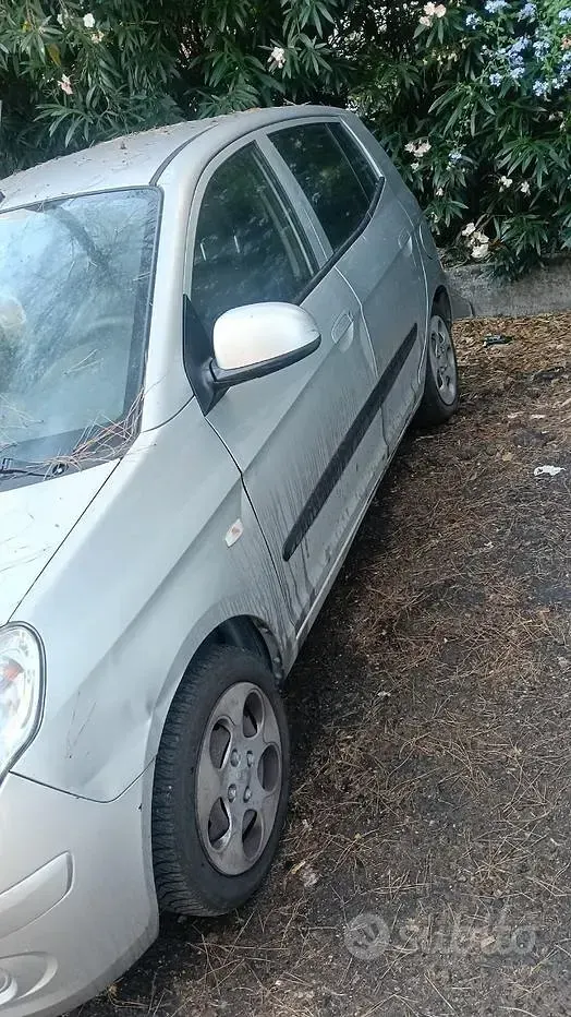 Usata Kia Picanto 62 CV (45 kW) 2009 Utilitaria