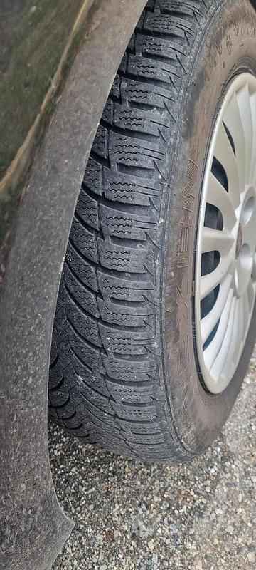 Usata Fiat Punto Evo 75 CV (55 kW) 2010 Nero Utilitaria