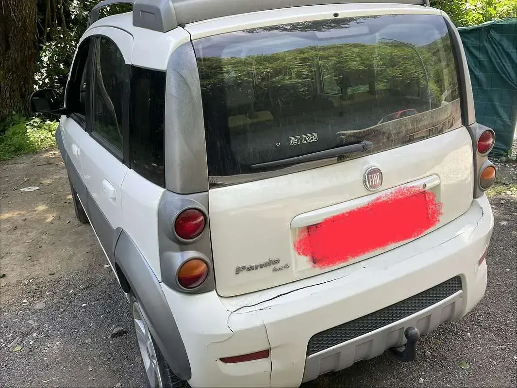 Usata Fiat Panda 4x4 Cross 69 CV (50 kW) 2010 Argento Utilitaria