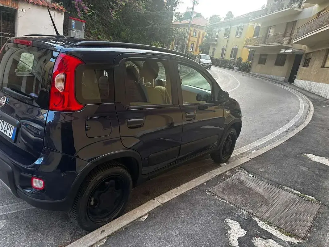 Usata Fiat Panda Cross Cross 90 CV (66 kW) 2021 Utilitaria