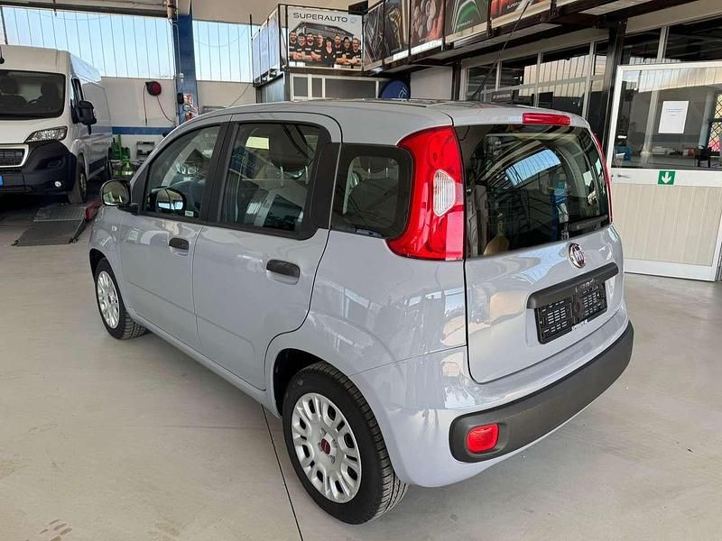 Usata Fiat Panda Easy 69 CV (50 kW) 2018 Grigio Utilitaria
