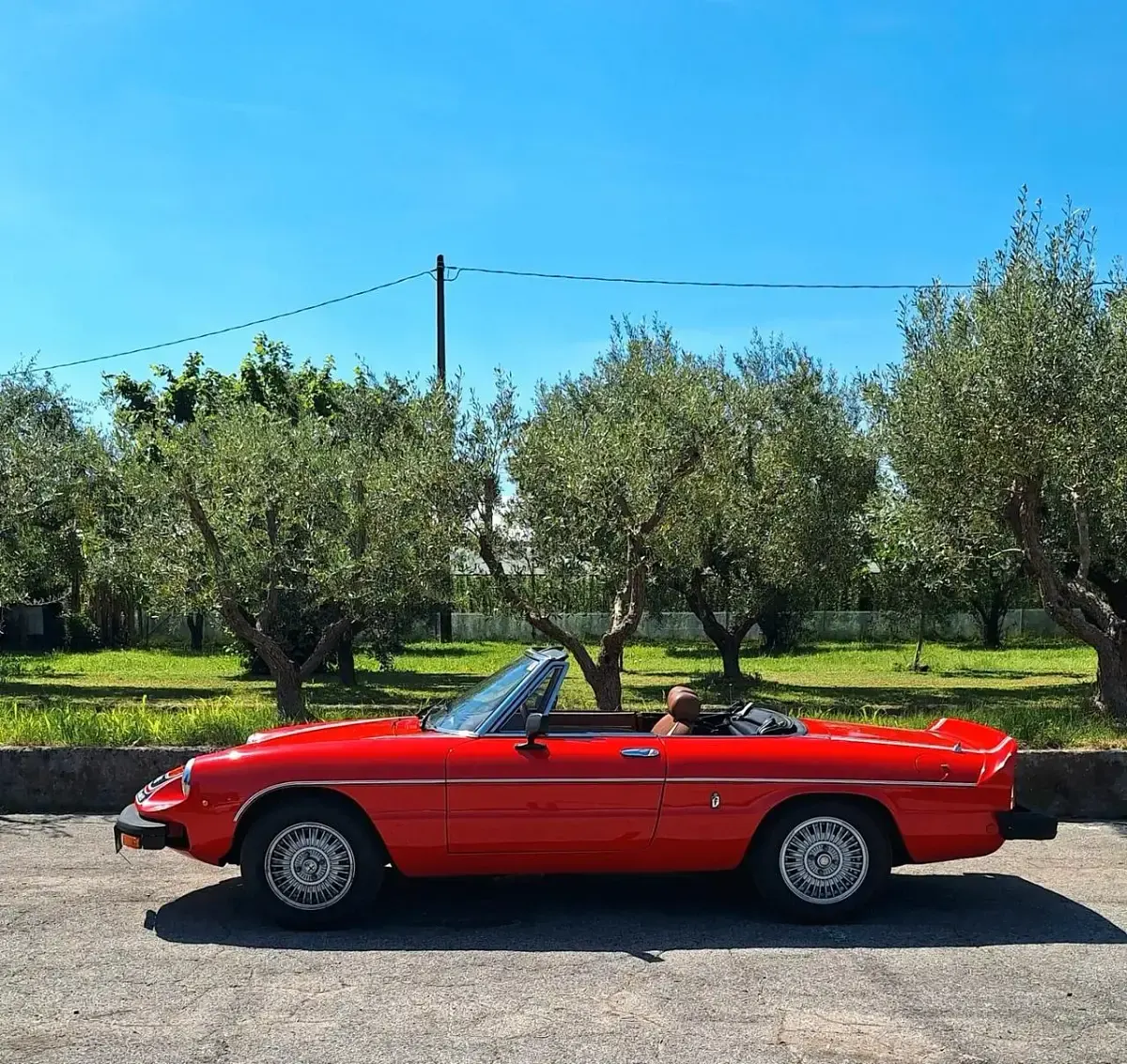 Usata Alfa Romeo Spider Veloce 131 CV (96 kW) 1978 Rosso Cabrio