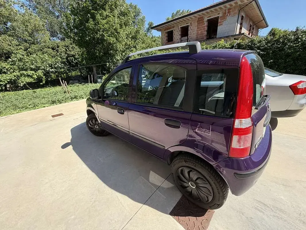 Usata Fiat Panda Dynamic 60 CV (44 kW) 2009 Lilla Utilitaria
