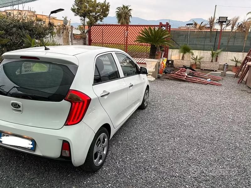 Usata Kia Picanto 68 CV (50 kW) 2016 Bianco Utilitaria