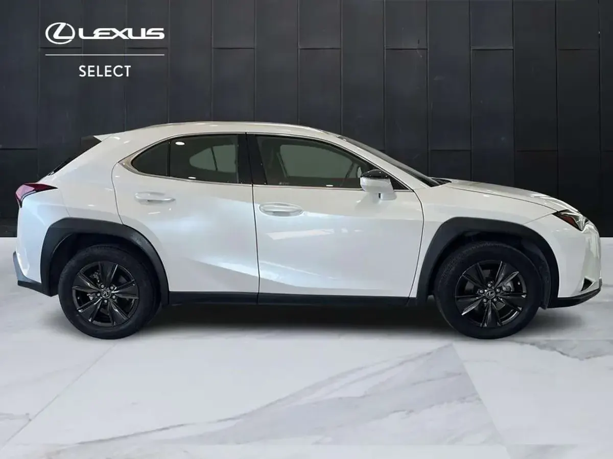 Usata Lexus UX 250h Luxury Line 184 CV (135 kW) 2023 Bianco SUV