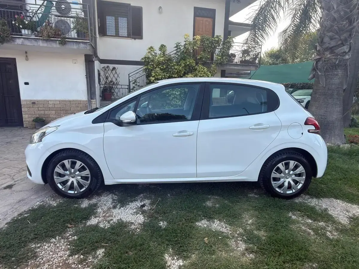 Usata Peugeot 208 Active 102 CV (75 kW) 2019 Bianco Utilitaria