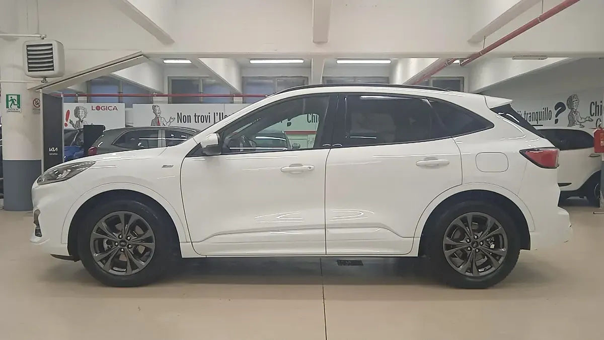 Usata Ford Kuga ST-Line 120 CV (88 kW) 2021 Bianco SUV