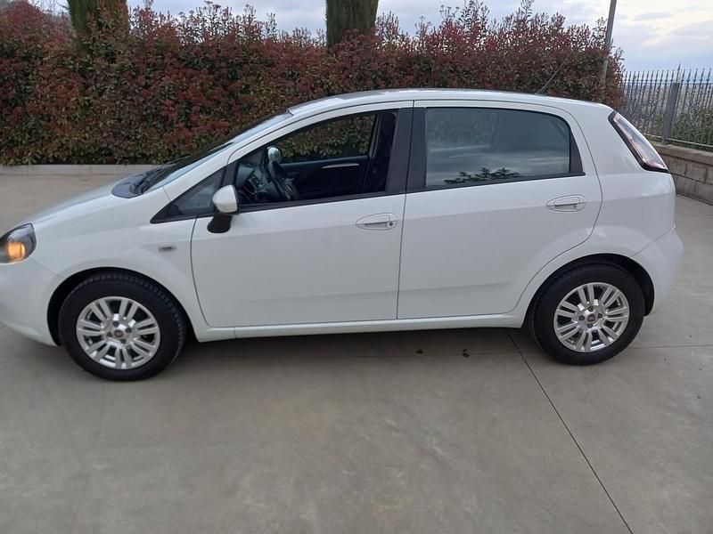 Usata Fiat Punto Lounge 75 CV (55 kW) 2014 Bianco Utilitaria
