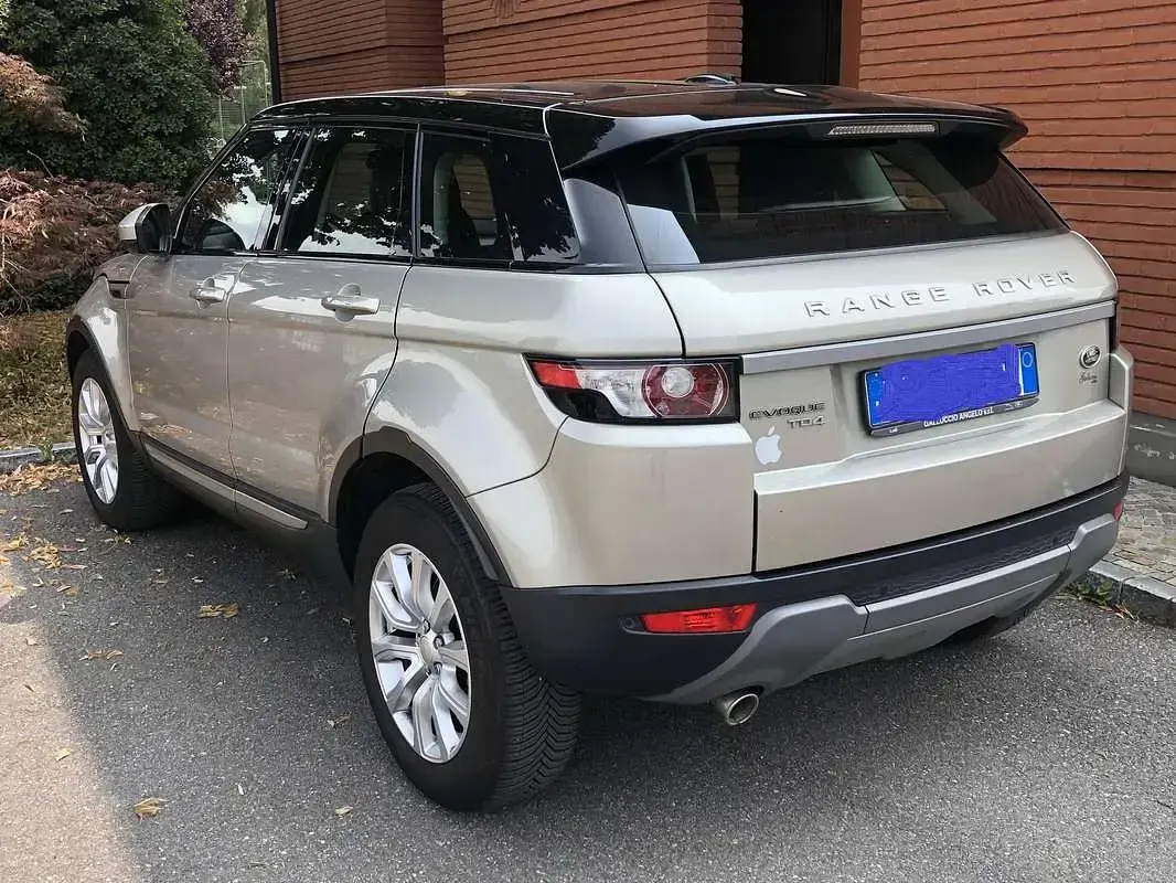 Usata Land Rover Range Rover evoque Pure 150 CV (110 kW) 2014 Oro SUV