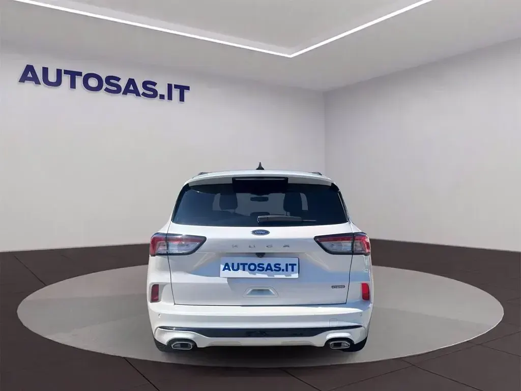 Usata Ford Kuga ST-Line 190 CV (139 kW) 2023 Bianco SUV