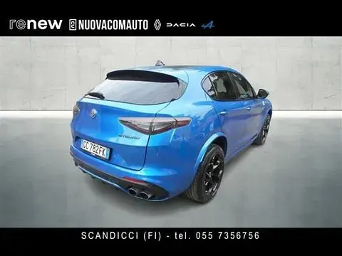 Usata Alfa Romeo Stelvio Quadrifoglio 510 CV (375 kW) 2020 Azzurro SUV