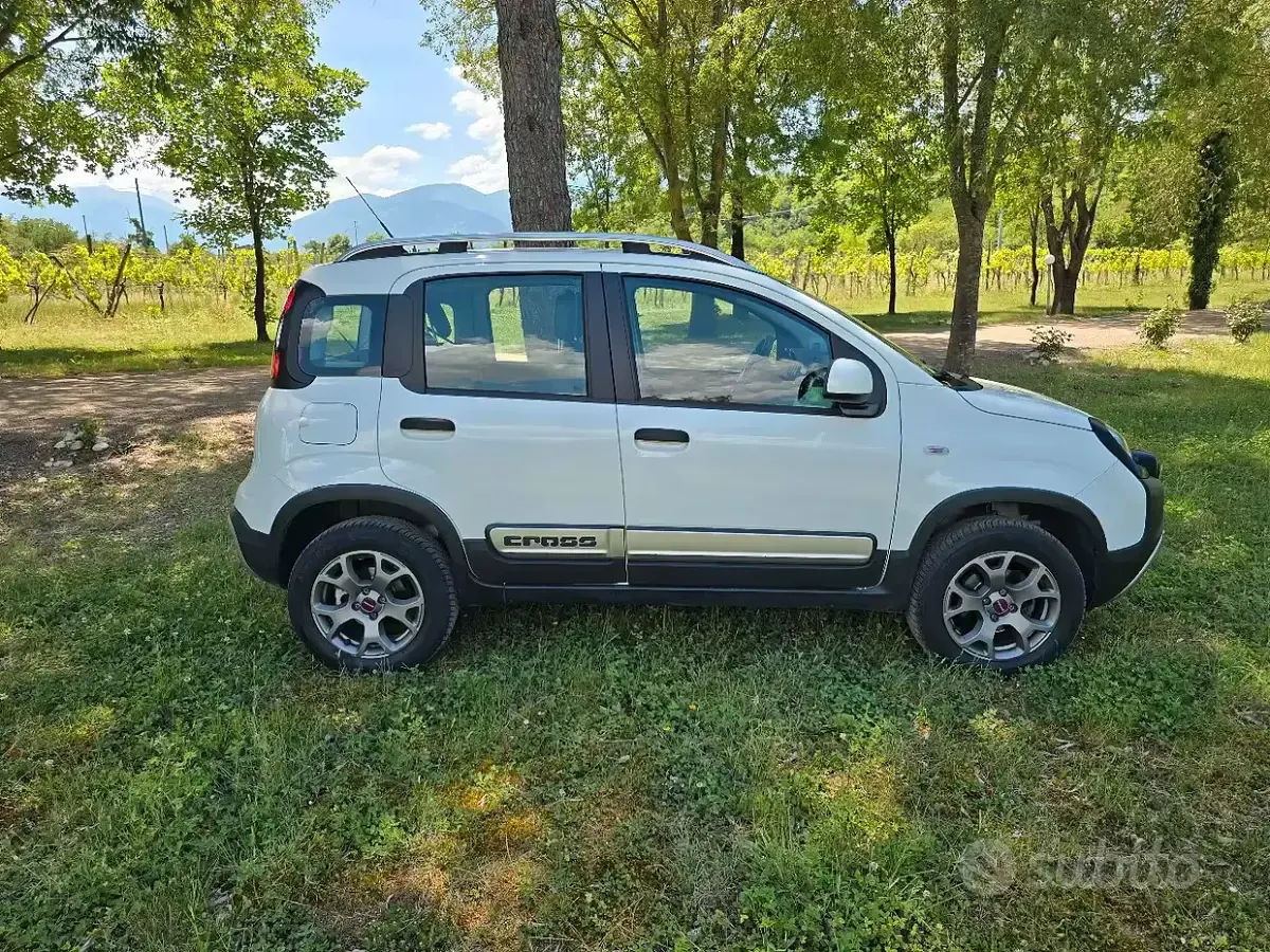 Usata Fiat Panda Cross Cross 80 CV (58 kW) 2015 Bianco Utilitaria