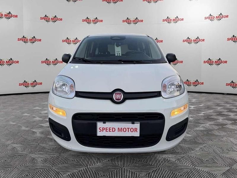 Usata Fiat Panda 69 CV (50 kW) 2024 Bianco Utilitaria