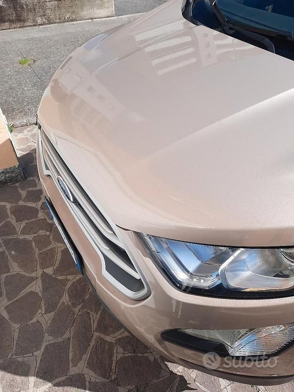 Usata Ford Ecosport 100 CV (73 kW) 2018 SUV