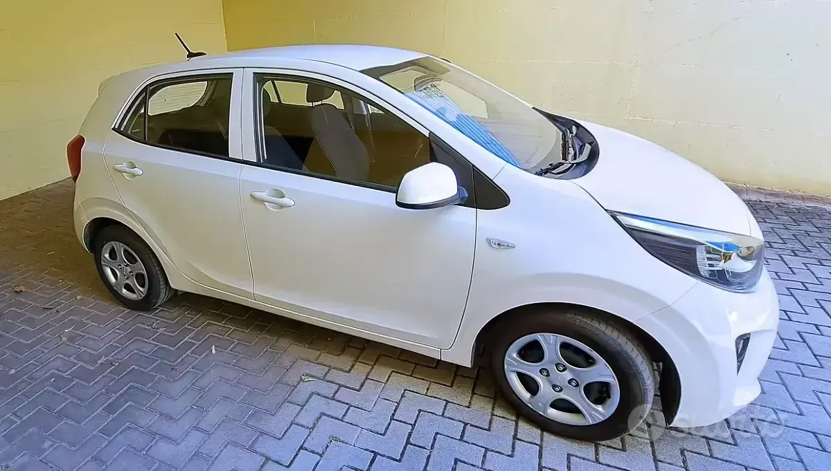 Usata Kia Picanto 67 CV (49 kW) 2022 Bianco Utilitaria