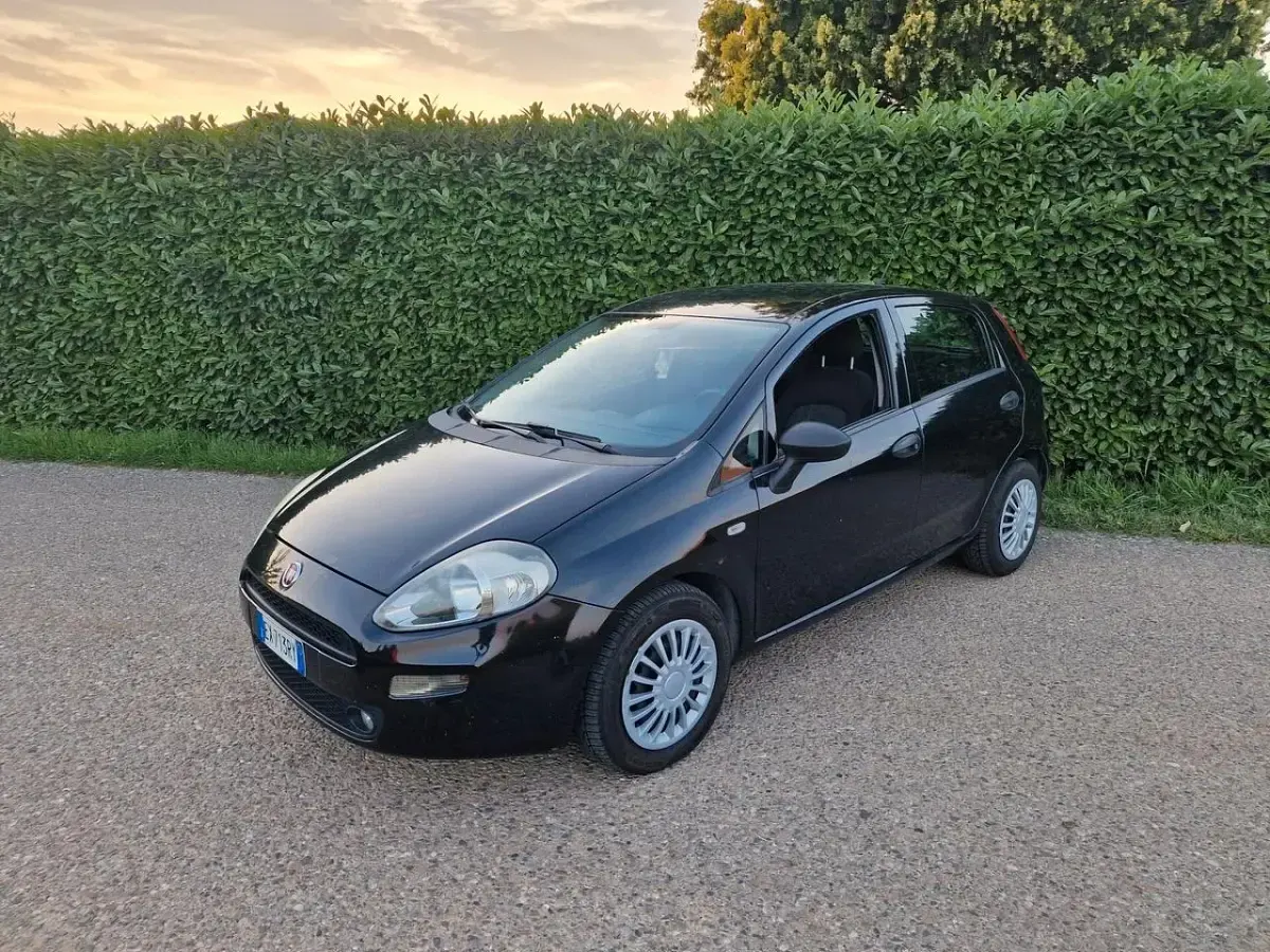 Usata Fiat Punto Easy 75 CV (55 kW) 2014 Nero Utilitaria