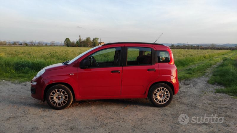 Usata Fiat Panda 69 CV (50 kW) 2013 Rosso Utilitaria