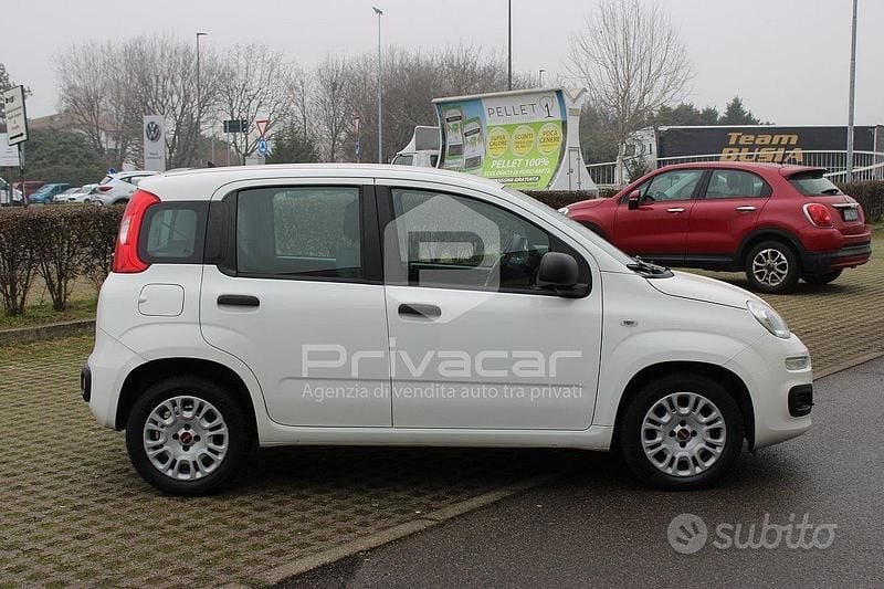 Usata Fiat Panda Easy 69 CV (50 kW) 2018 Bianco Utilitaria