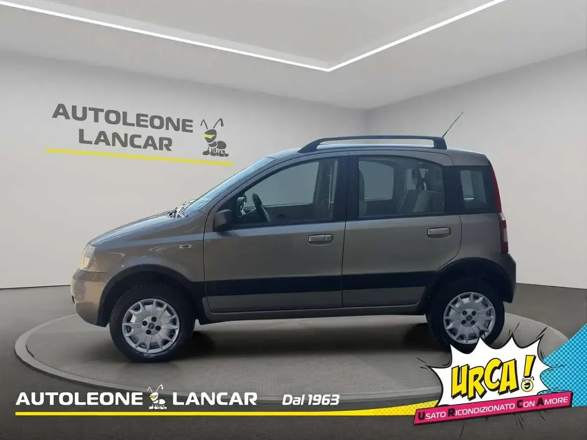 Usata Fiat Panda 4x4 Climbing 60 CV (44 kW) 2007 Bronzo Utilitaria