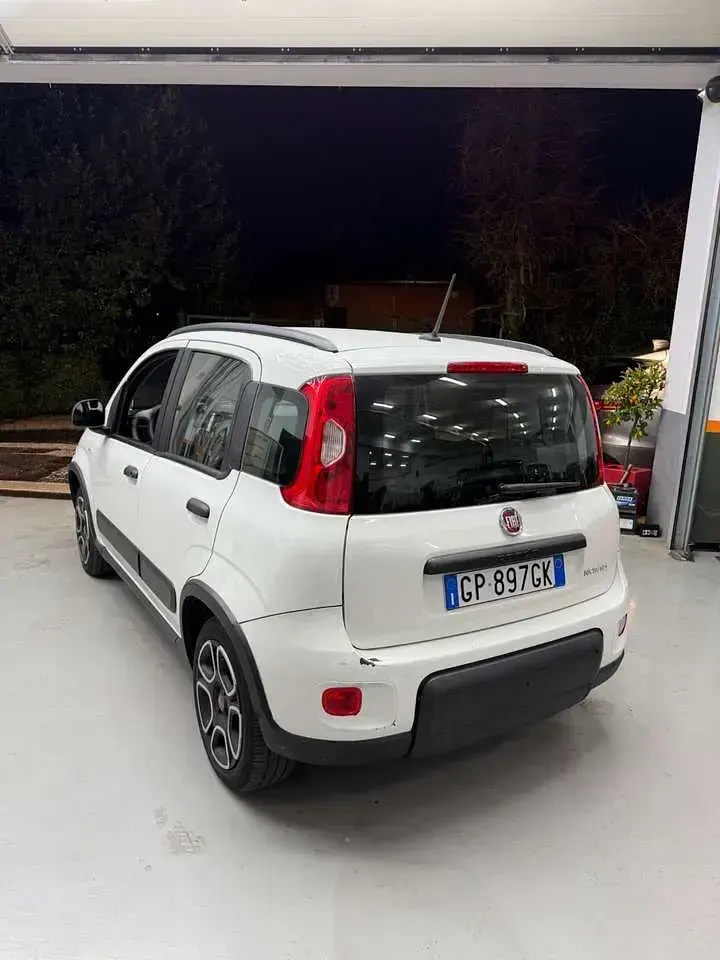 Usata Fiat Panda S 71 CV (52 kW) 2022 Bianco Utilitaria