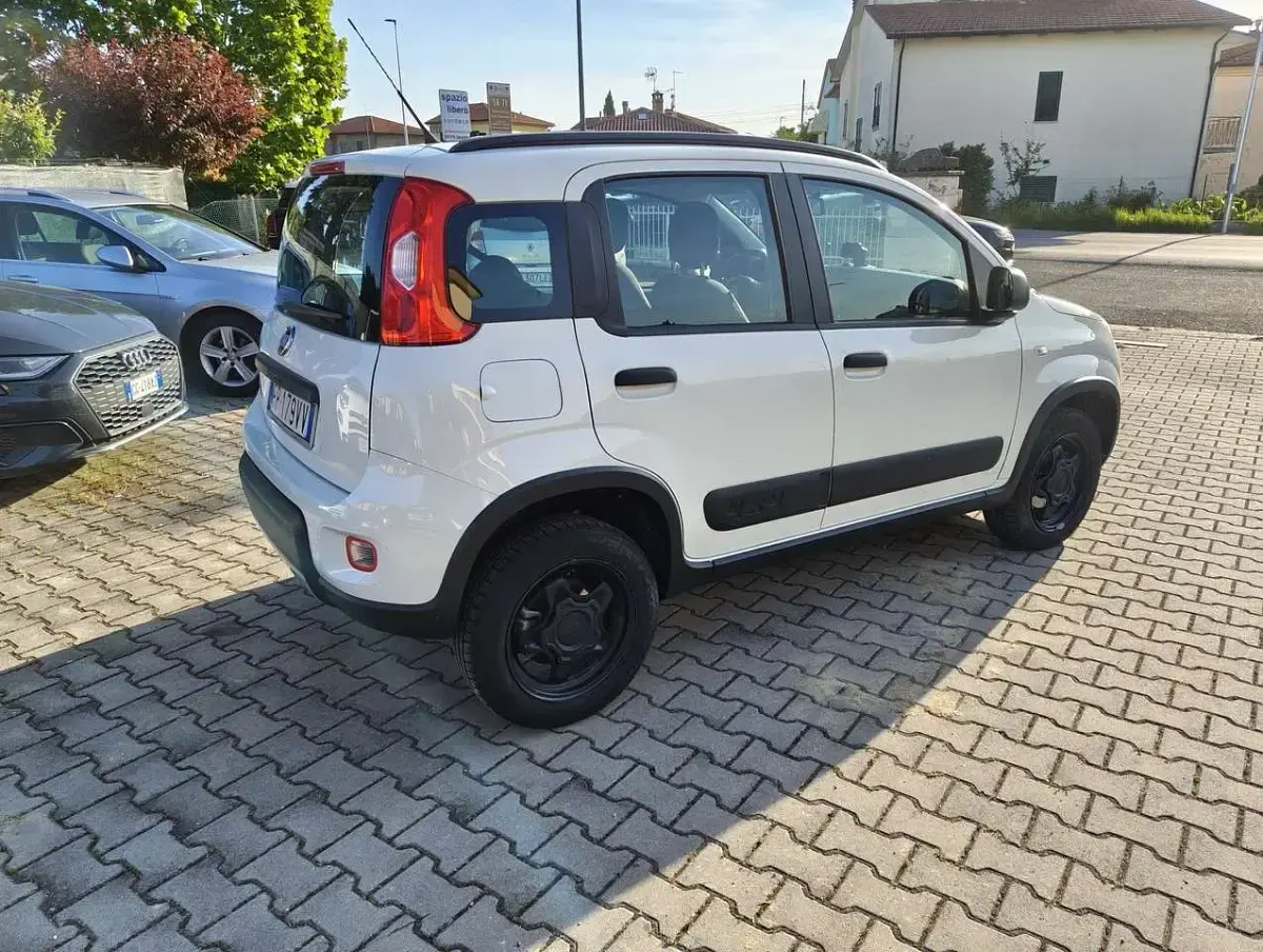 Usata Fiat Panda 4x4 S 95 CV (69 kW) 2018 Gelato Utilitaria