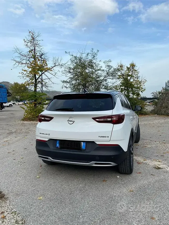 Usata Opel Grandland X 131 CV (96 kW) 2019 Bianco SUV