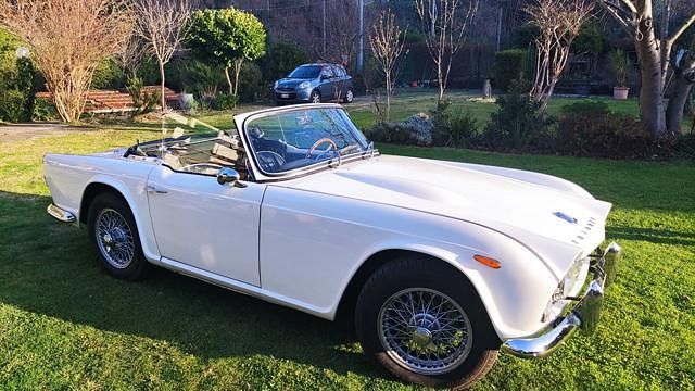 Bianco Usata 1964 Triumph TR4 Cabrio | 38.000 € - Immagine 1/4