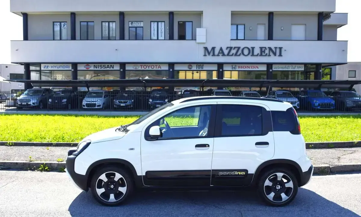 Usata Fiat Panda Cross Cross 69 CV (50 kW) 2024 Bianco Utilitaria