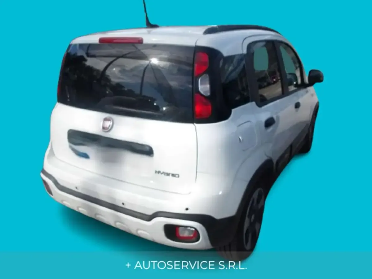 Usata Fiat Panda S 69 CV (50 kW) 2025 Bianco Utilitaria
