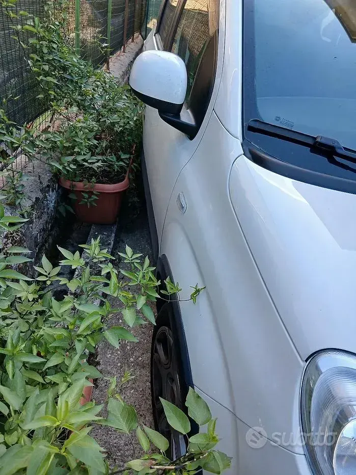 Usata Fiat Panda 69 CV (50 kW) 2023 Bianco Utilitaria