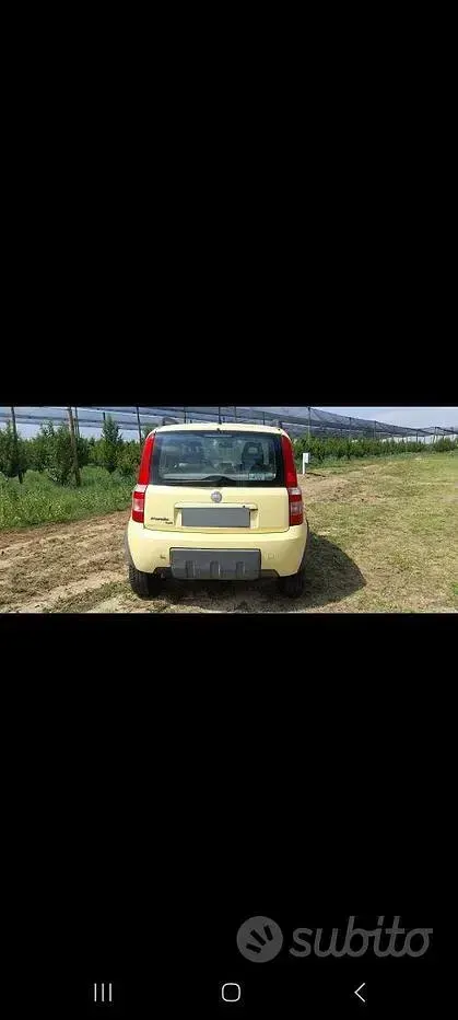 Usata Fiat Panda 4x4 60 CV (44 kW) 2006 Giallo Utilitaria