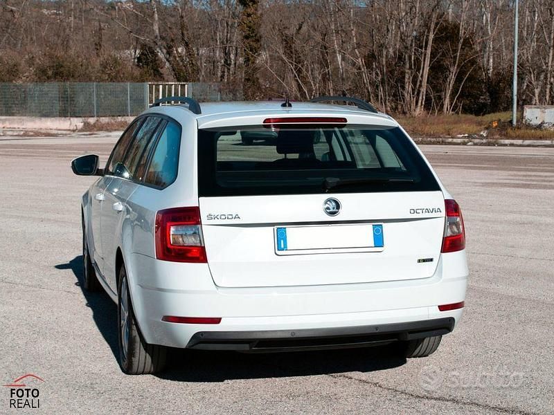Usata Skoda Octavia G-TEC Ambition 131 CV (96 kW) 2020 Bianco Station wagon