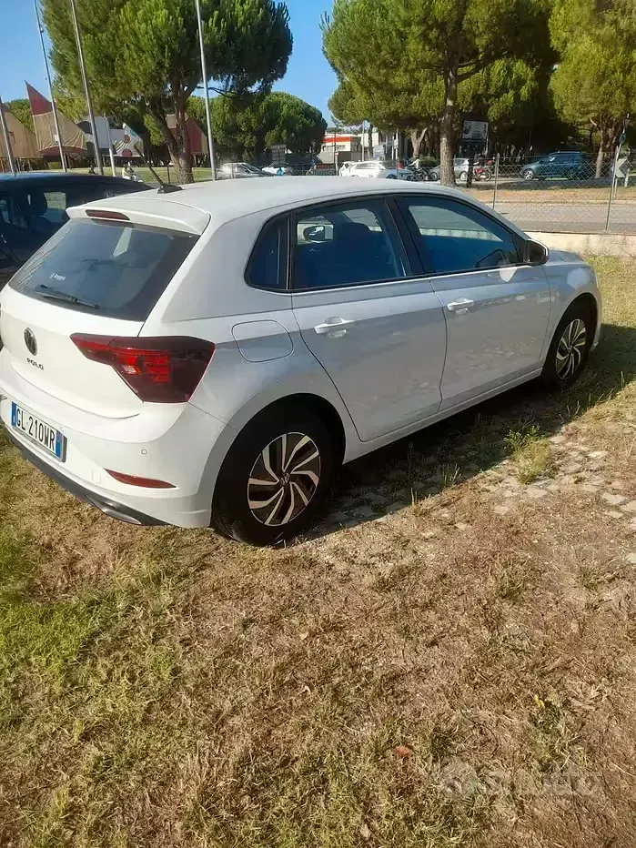 Usata VW Polo Life 95 CV (69 kW) 2023 Bianco Utilitaria