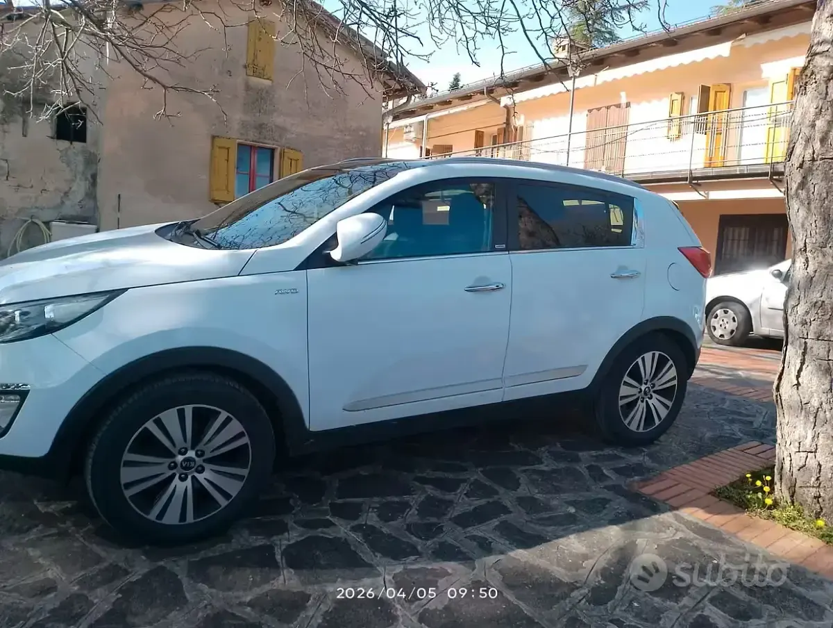 Usata Kia Sportage 185 CV (136 kW) 2015 Bianco SUV