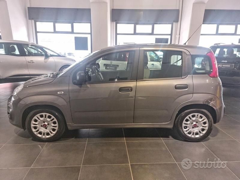 Usata Fiat Panda 70 CV (51 kW) 2022 Grigio Utilitaria