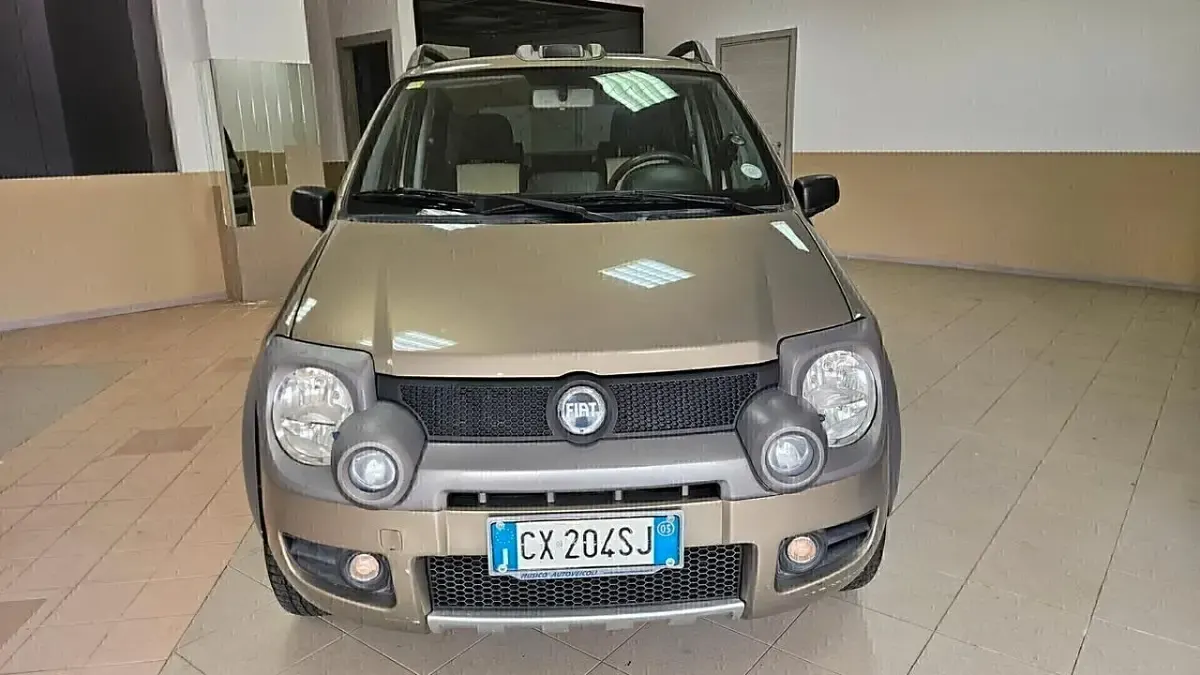 Usata Fiat Panda 4x4 69 CV (50 kW) 2005 Marrone Utilitaria