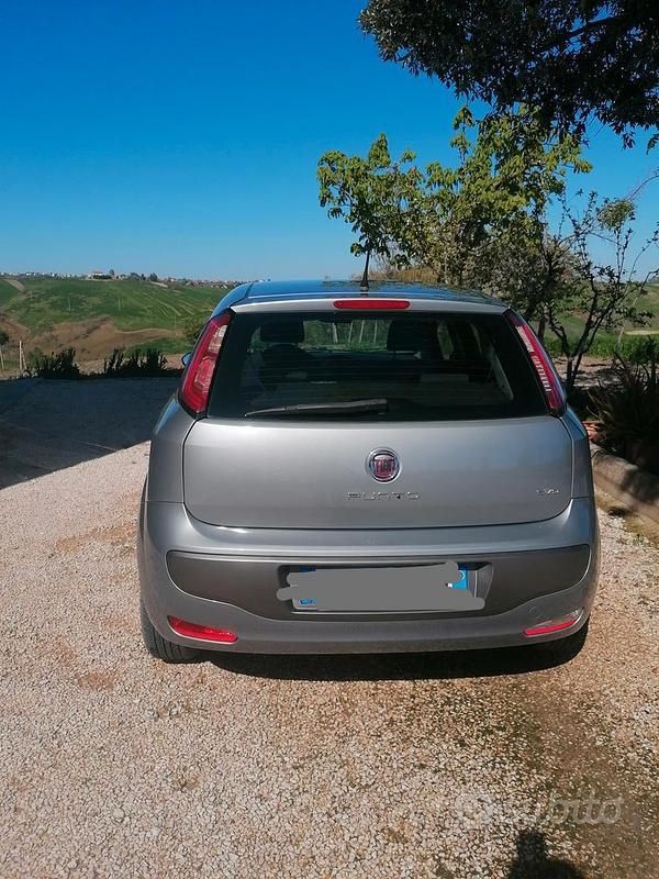Usata Fiat Punto Evo 75 CV (55 kW) 2010 Grigio Utilitaria