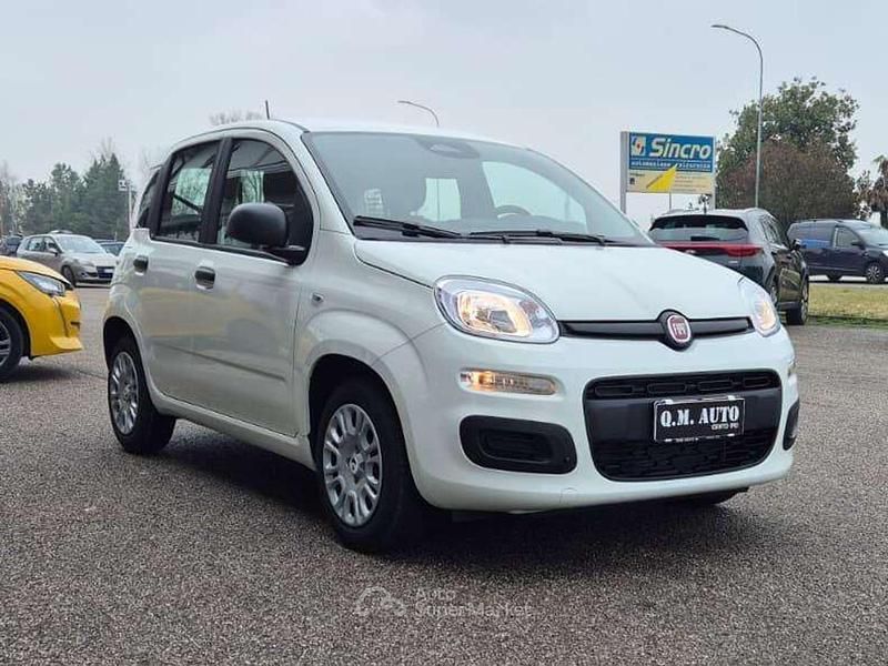 Nuova Fiat Panda Icon 69 CV (50 kW) 2025 Bianco gelato Utilitaria