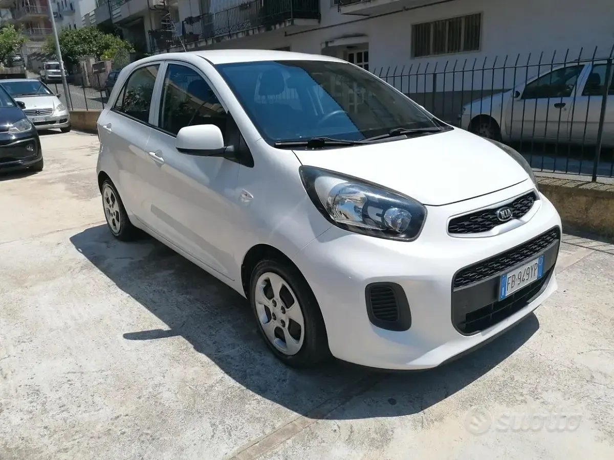 Usata Kia Picanto Active 67 CV (49 kW) 2016 Bianco Utilitaria