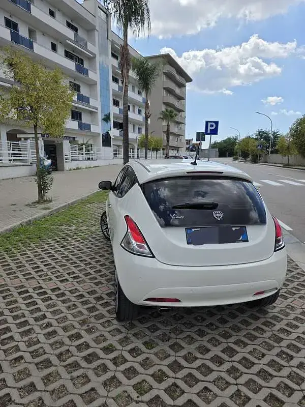 Usata Lancia Ypsilon Platinum 69 CV (50 kW) 2016 Bianco Utilitaria