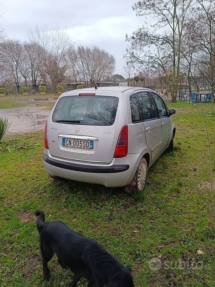Usata Lancia Musa 101 CV (74 kW) 2004 Grigio Monovolume