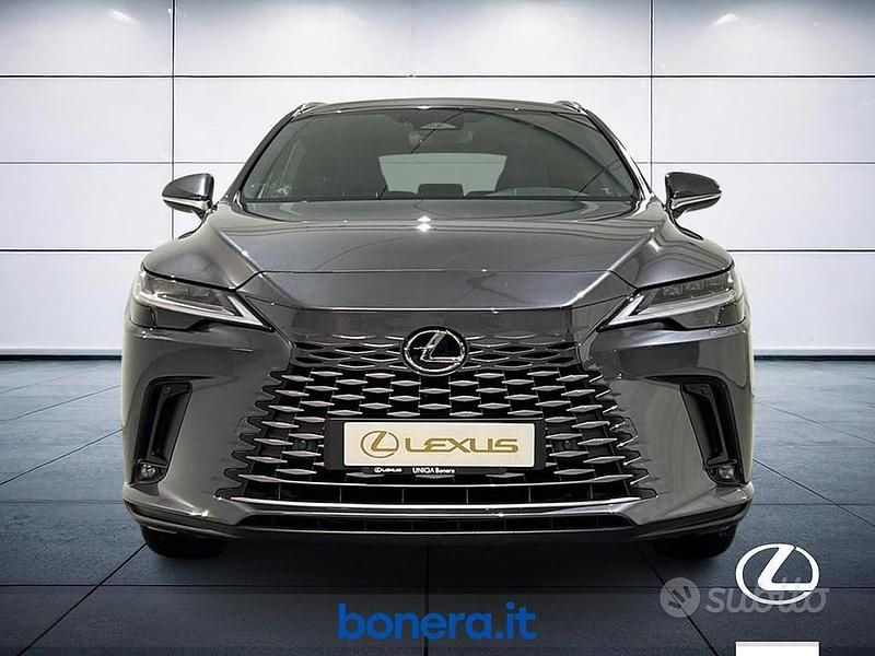 Usata Lexus RX350h Executive Line 250 CV (183 kW) 2024 Grigio SUV