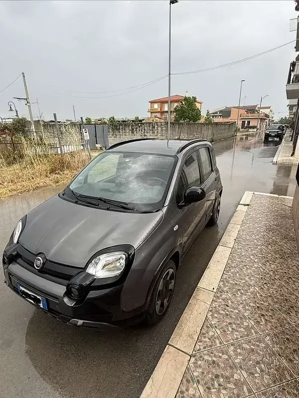 Usata Fiat Panda Cross Cross 69 CV (50 kW) 2020 Utilitaria