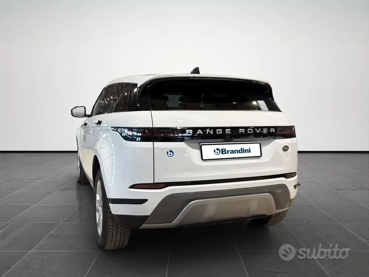 Usata Land Rover Range Rover evoque S 200 CV (147 kW) 2021 Bianco SUV