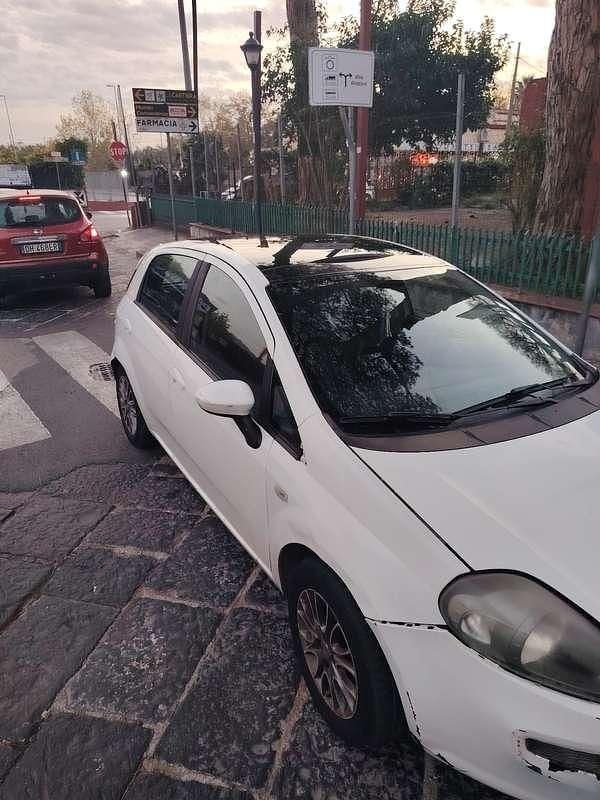 Usata Fiat Punto Evo Active 77 CV (56 kW) 2012 Utilitaria